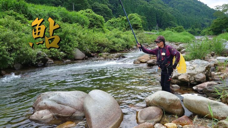 魅惑の小河川　秘密のポイント巡り　鮎