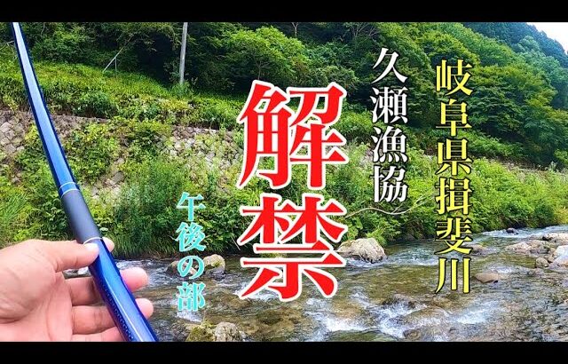 【鮎釣り】岐阜県 揖斐川久瀬漁協 高知川解禁　午後からも、めちゃ釣れるやん！