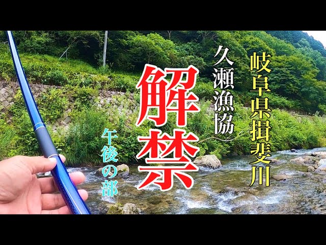 【鮎釣り】岐阜県 揖斐川久瀬漁協 高知川解禁　午後からも、めちゃ釣れるやん！