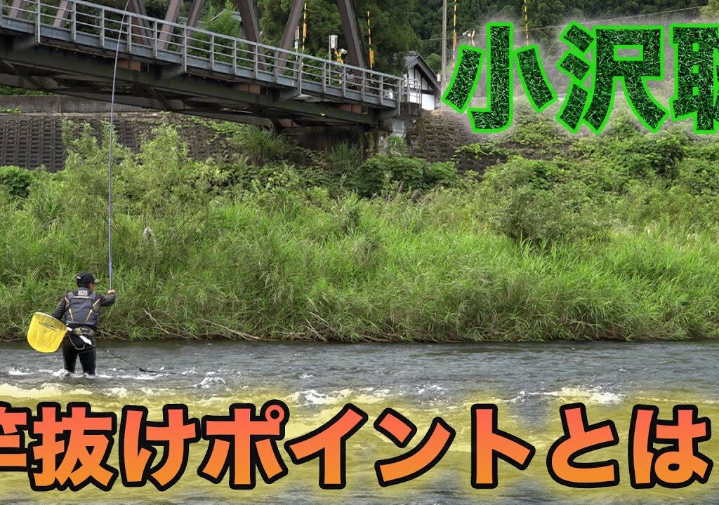 鮎釣り 小沢聡 竿抜けポイントとは？