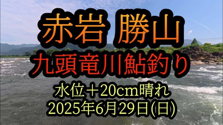 今後釣果が期待出来る【赤岩】九頭竜川勝山　鮎釣り