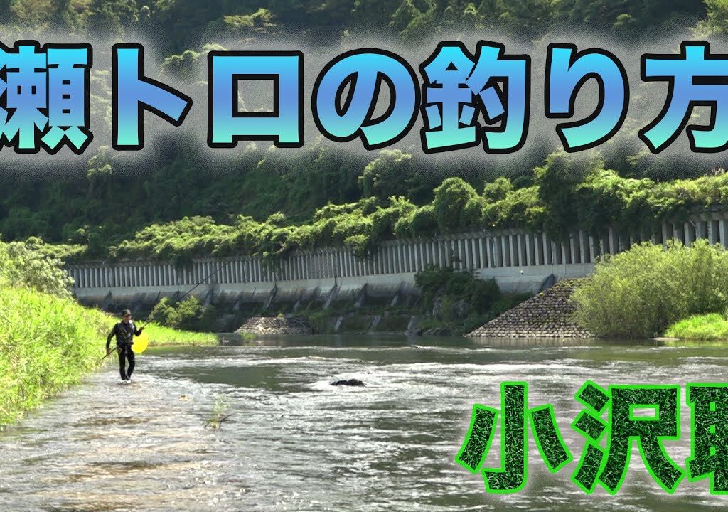 鮎釣り 小沢聡 瀬トロの釣り方