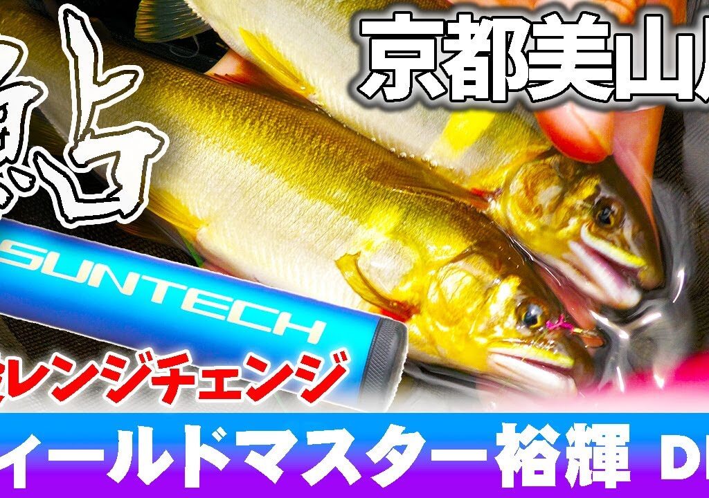 【鮎】サンテックの竿は使えるのか？検証 梶原淳司 鮎漁師な日々 京都美山川