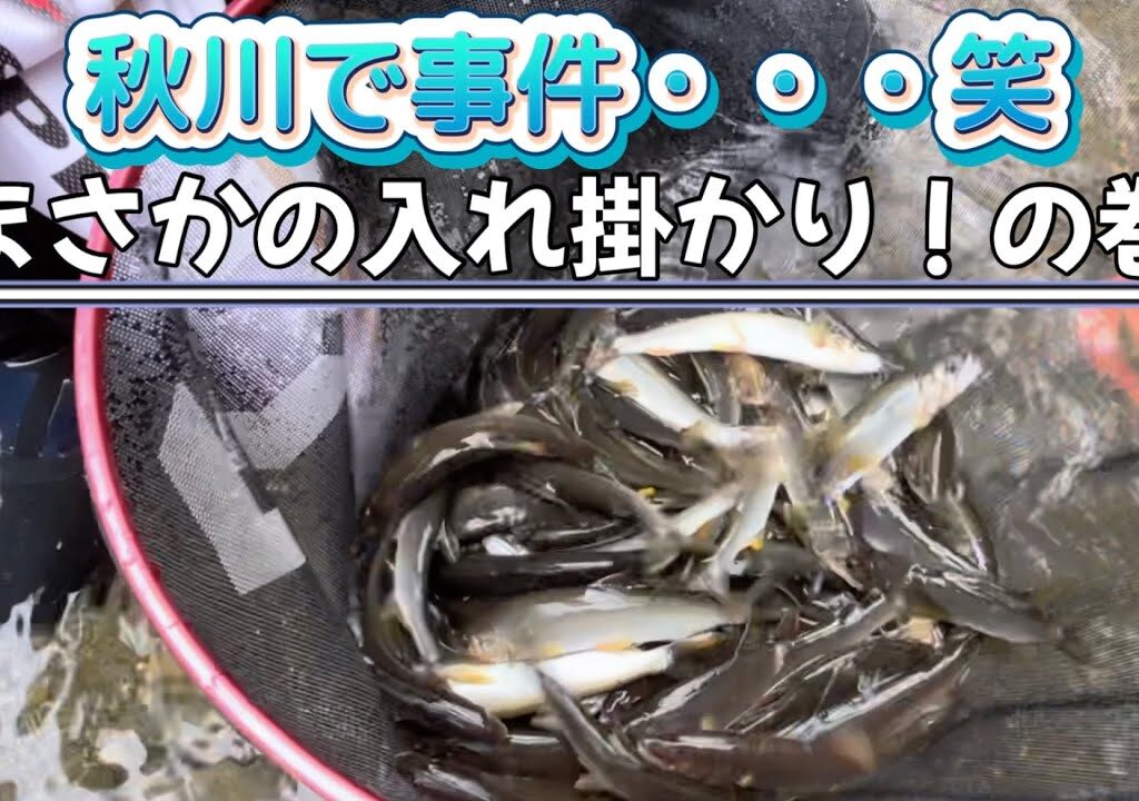 秋川で嬉しい！初体験^ ^入れ掛かりを体験