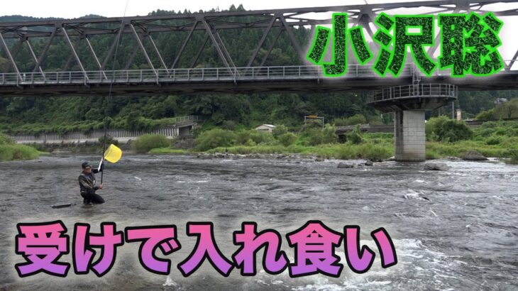 鮎釣り 小沢聡 受けで入れ食い