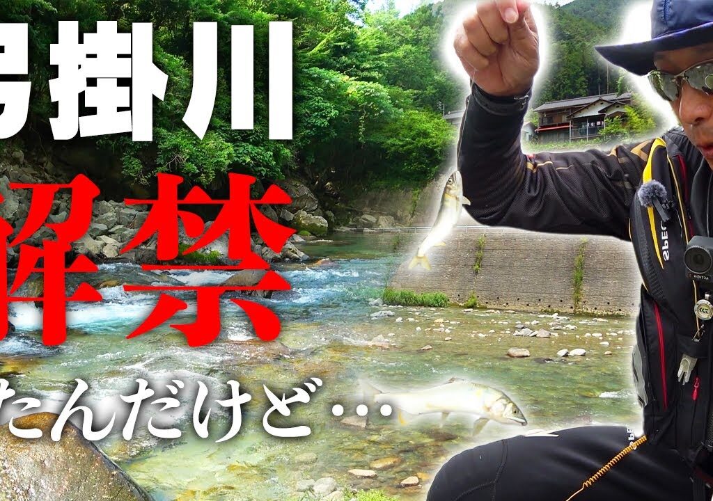 弓掛川解禁＆馬瀬川攻略！キモはやっぱり〇〇〇【鮎釣り】