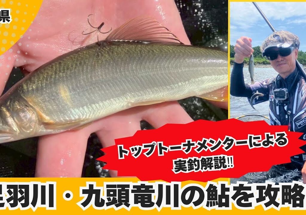 トップトーナメンターが実釣解説‼足羽川・九頭竜川の友釣り【フィッシングマスター】