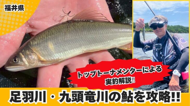 トップトーナメンターが実釣解説‼足羽川・九頭竜川の友釣り【フィッシングマスター】