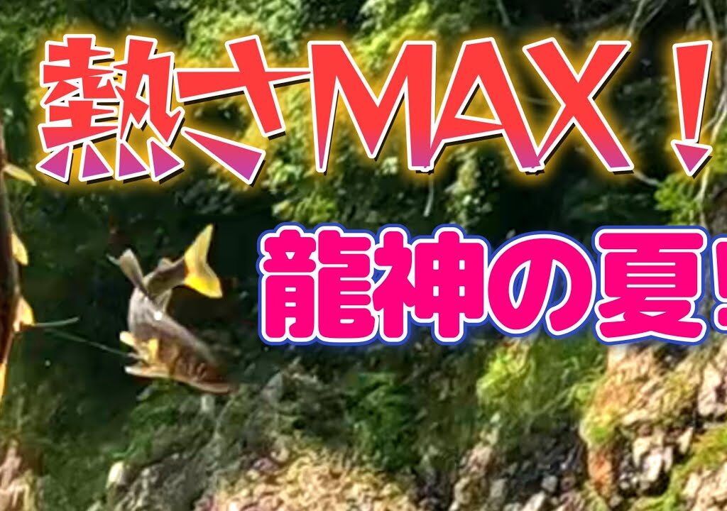 【鮎釣り】カメラもたまらずダウンする。アユも気温も熱いぜ龍神！
