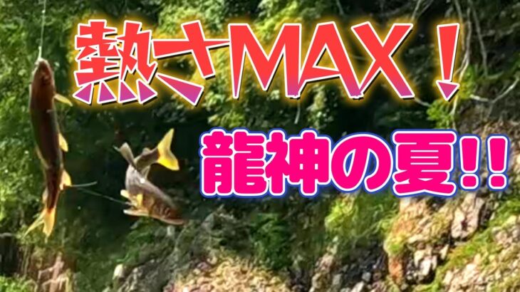 【鮎釣り】カメラもたまらずダウンする。アユも気温も熱いぜ龍神！