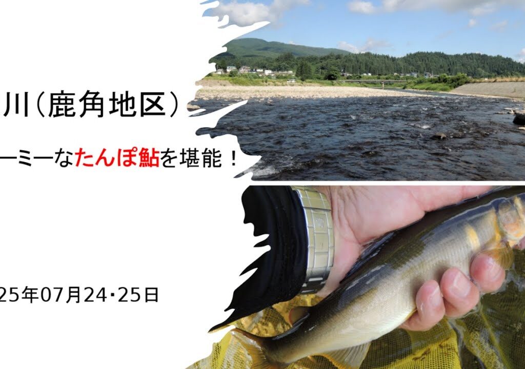 米代川（鹿角地区）ボリューミーなたんぽ鮎を堪能！