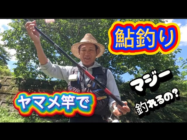 鮎は本流竿でも釣れます　この竿って軽くて操作性や感度もいいからある意味ヤバイ