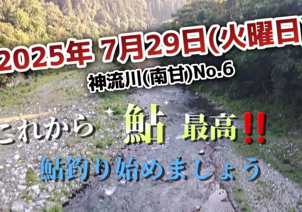 鮎釣り　神流川(南甘)　鮎ちゃん最高です‼️