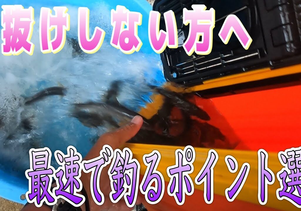 つ抜けをしない方へ。最速で釣るポイント選びと見切り方