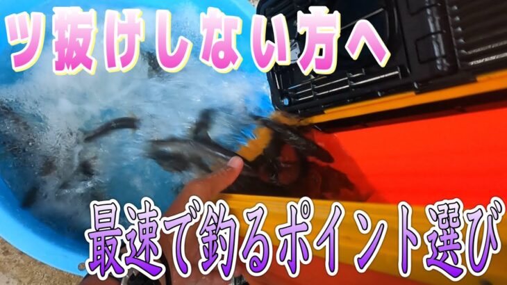 つ抜けをしない方へ。最速で釣るポイント選びと見切り方