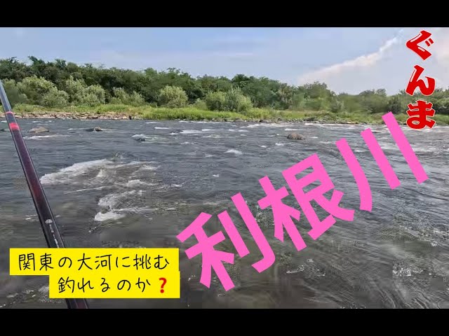 【２０２５年８月２0日　利根川鮎釣り。関東の大河へ釣行】