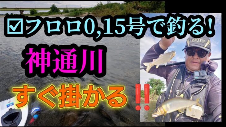 すぐ掛かる!フロロ015号で７月の神通川を釣る!
