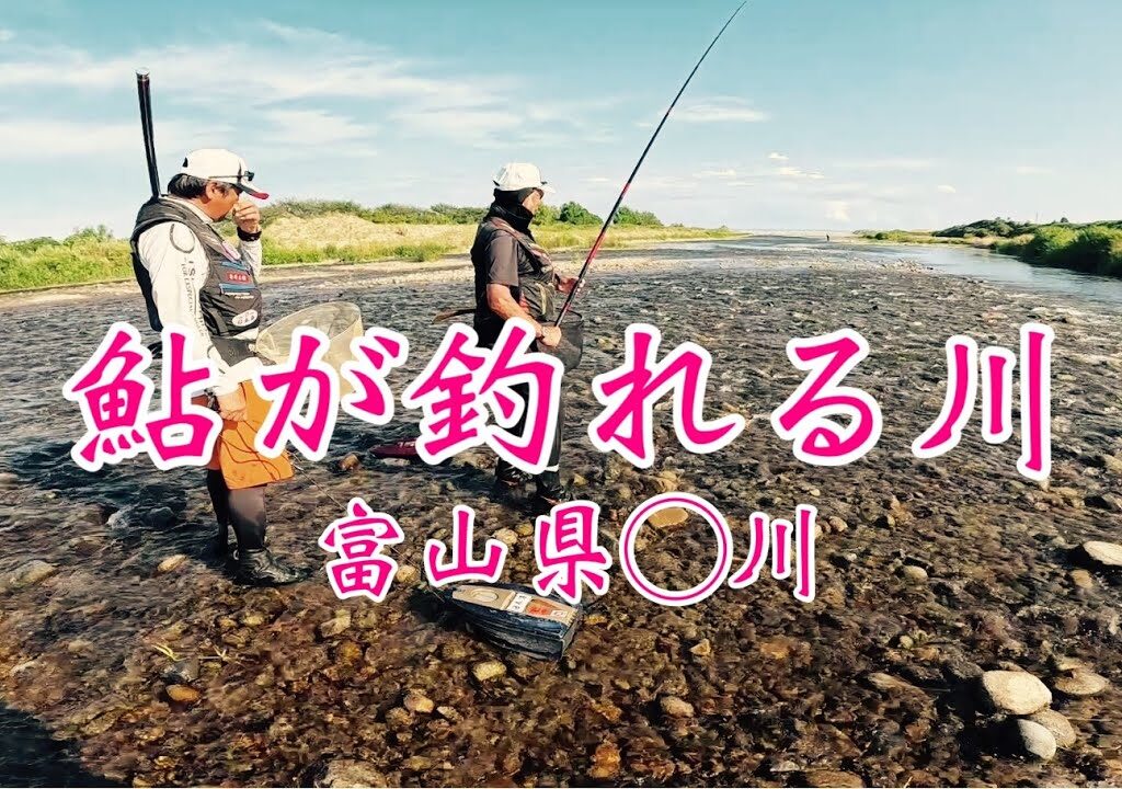 【富山の天然遡上鮎釣り】巨匠が100匹で師匠60匹の俺26匹…