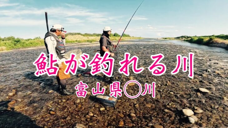 【富山の天然遡上鮎釣り】巨匠が100匹で師匠60匹の俺26匹…