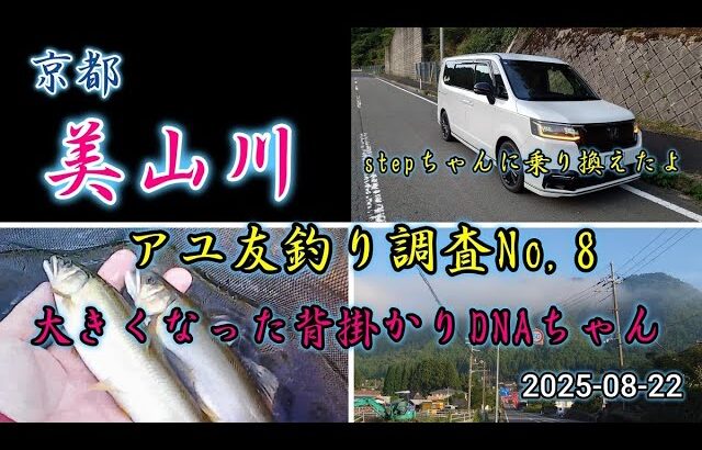 2025-08-22 京都美山川 アユ友釣り調査 No,8