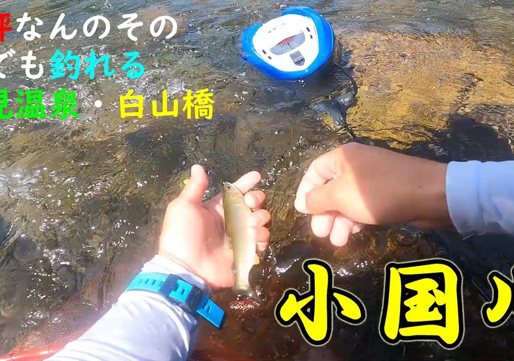 【鮎釣り】渇水、川幅狭くポイントは絞りやすい｜2025，小国川初釣行｜