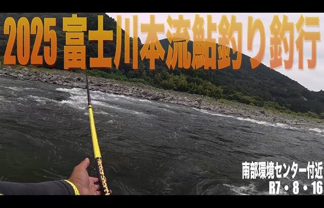 2025 富士川本流鮎釣り釣行