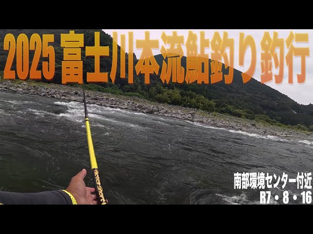 2025 富士川本流鮎釣り釣行