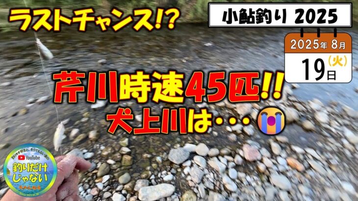 速報！【小鮎釣り2025】８月１９日、定例調査。シーズン終了まであと２週間！ラスト釣行前に見てほしい動画！厳しいながらも、ラストチャンスあるぞ！ 芹川・犬上川