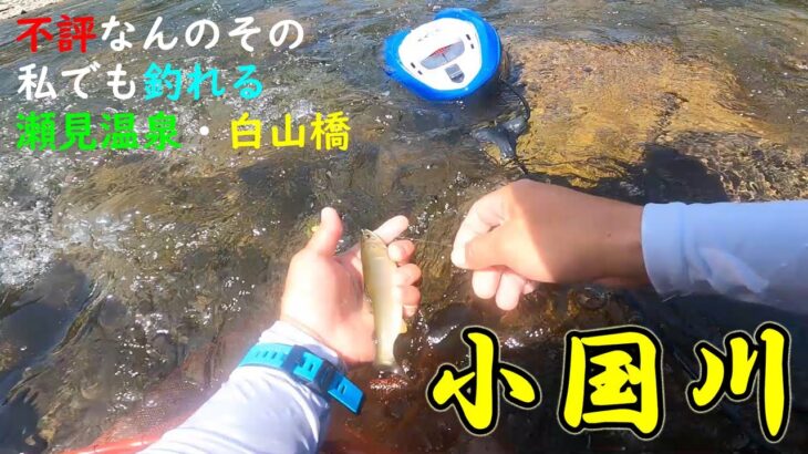 【鮎釣り】渇水、川幅狭くポイントは絞りやすい｜2025，小国川初釣行｜