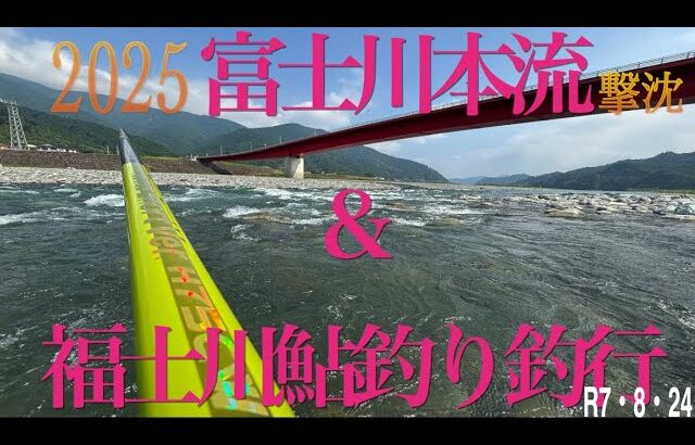 2025富士川本流&福士川鮎釣り釣行