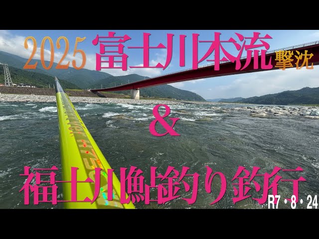 2025富士川本流&福士川鮎釣り釣行