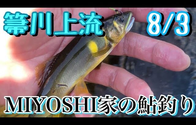 [2025鮎釣り]初場所水温低めで気持ちいい川でした。
