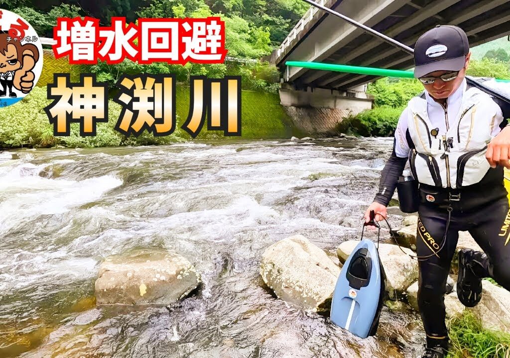 増水回避！神渕川【鮎釣り2025】