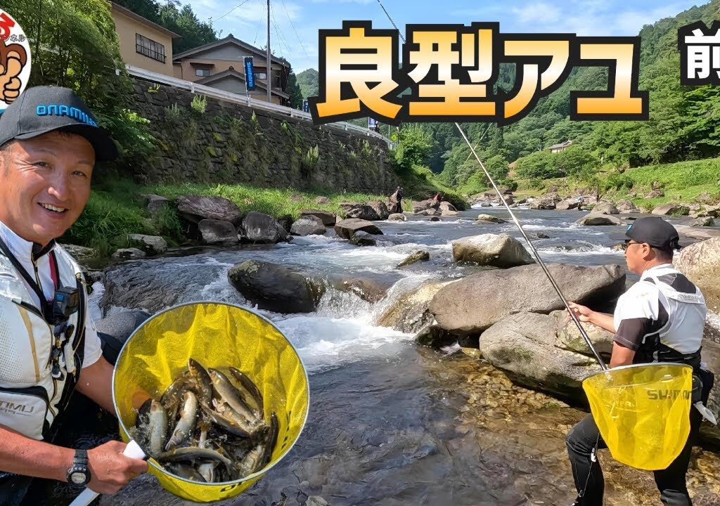 良型アユ！ガッツリ佐見川【鮎釣り2025】