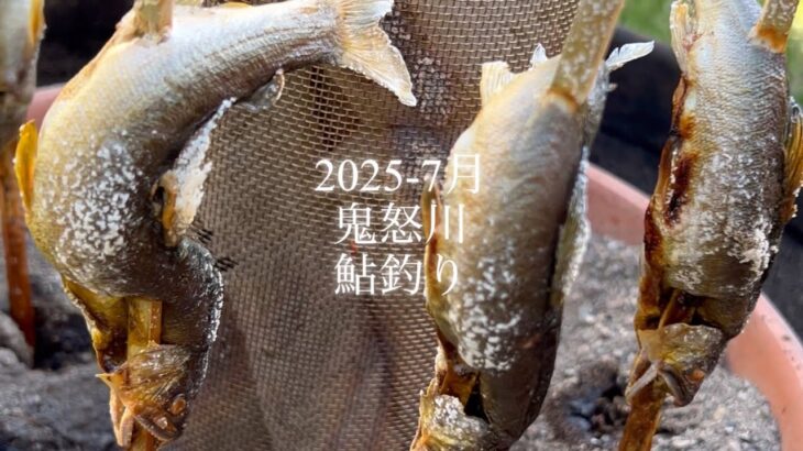 2025-7月　鬼怒川　鮎釣り