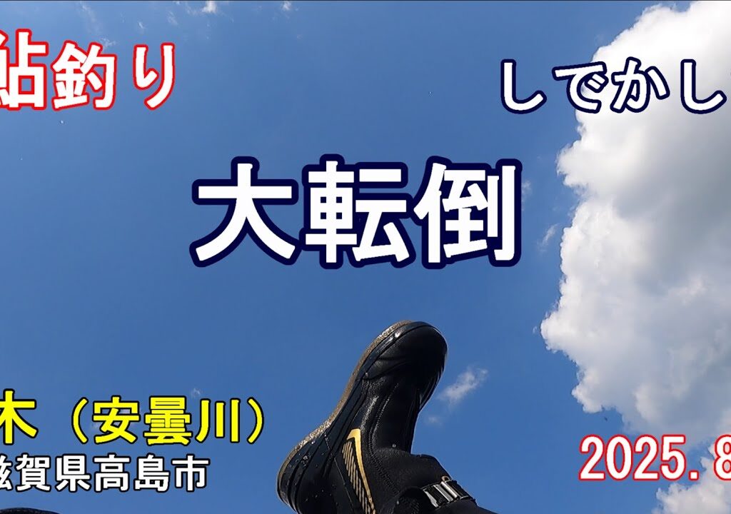 鮎　友釣り　朽木　安曇川　滋賀県　高島市　転倒　2025.8