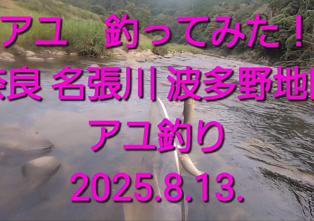 名張川　波多野でアユを釣ってみた（2025.8.13.）