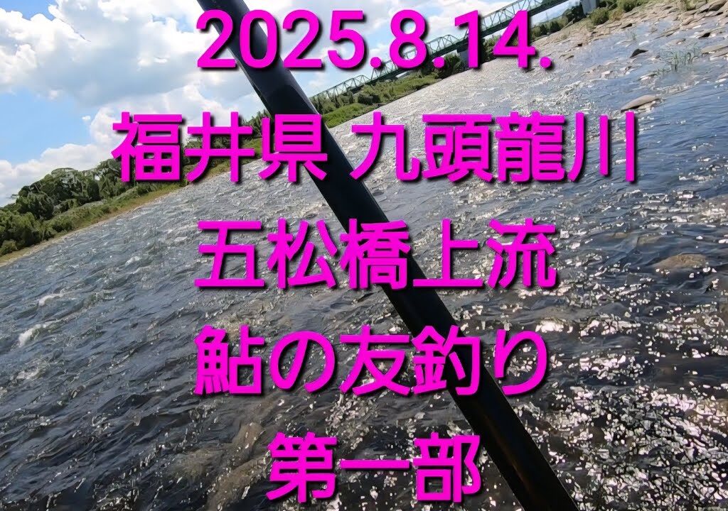 2025.8.14.福井県 九頭龍川 鮎釣り 第一部