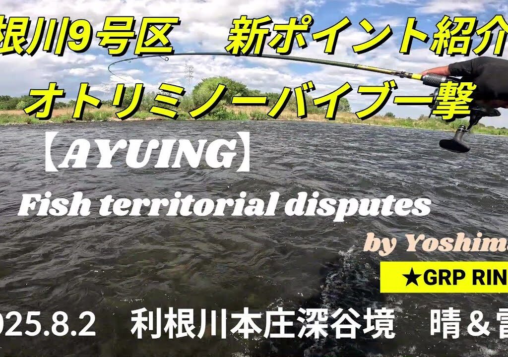 2025.8.2 【アユイング】　利根川９号区　短時間釣行　バイブ一撃＆新ポイント紹介