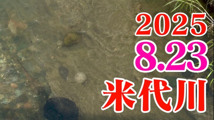 米代川で鮎釣り 2025.8.23 鹿角地区の午前の様子