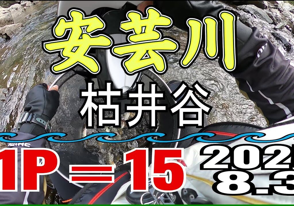 アユの友釣り 安芸川(高知県) 枯井谷 2025.8.3