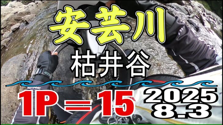 アユの友釣り 安芸川(高知県) 枯井谷 2025.8.3