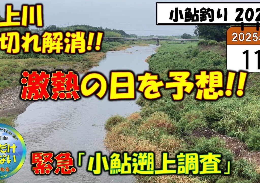 超速報！【小鮎釣り2025】８月11日、緊急調査！お盆休みに小鮎釣りに行こうと思っている方必見！！まとまった雨、降ったぞ!!さあ、激アツ日を釣りキチ亭主が徹底予想！