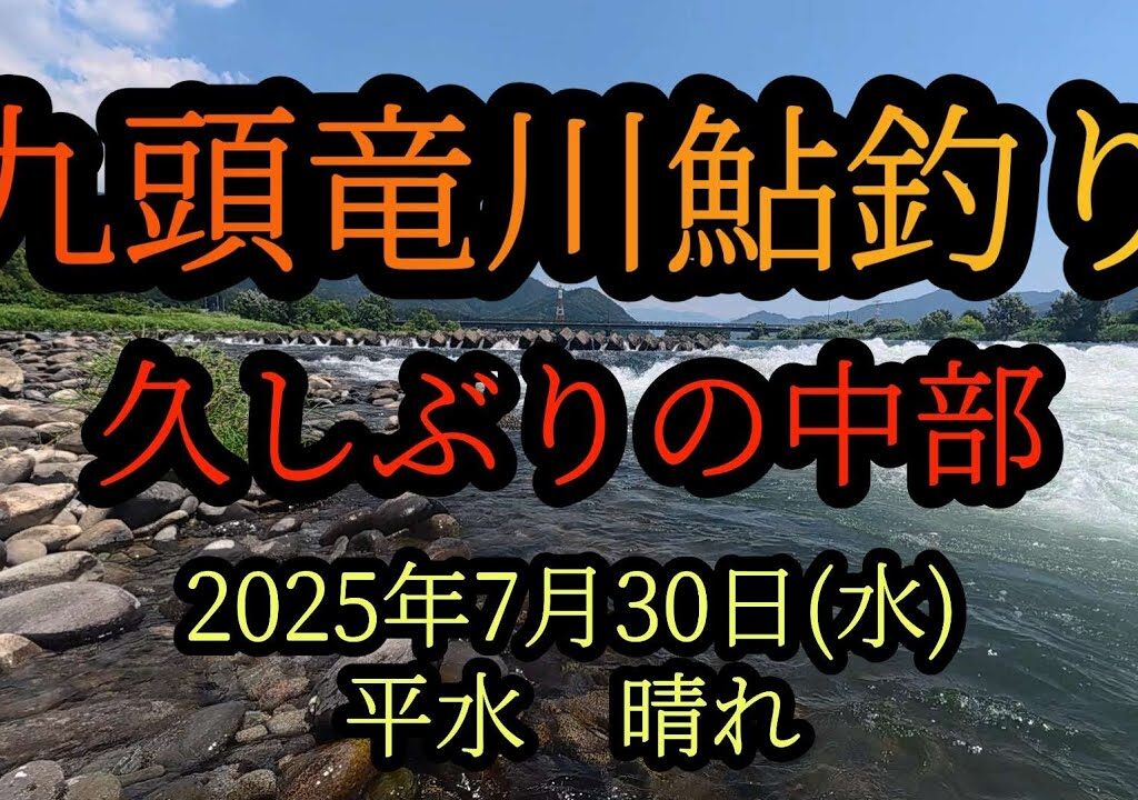 【九頭竜川鮎釣り】久しぶりの中部　2025年7月30日(水)