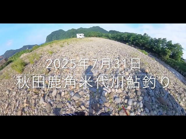 2025年7月31日秋田鹿角米代川鮎釣り