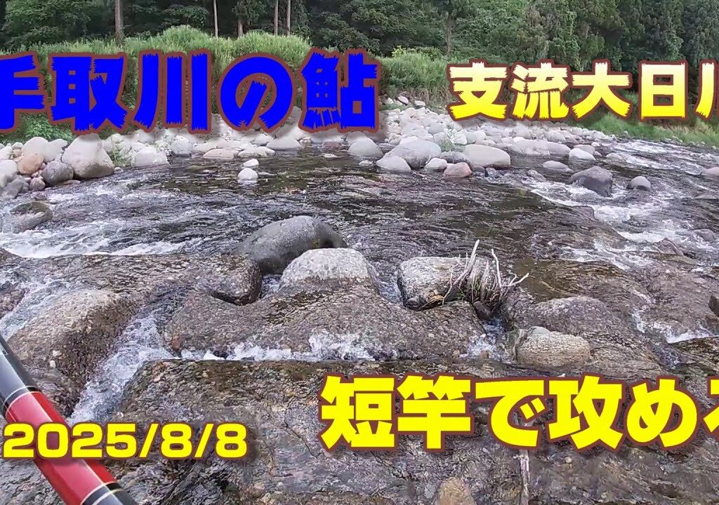 【手取川の鮎】支流大日川2025/8/08短竿で攻める