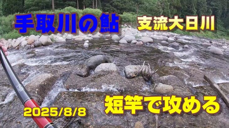 【手取川の鮎】支流大日川2025/8/08短竿で攻める