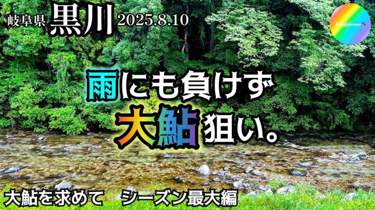 【鮎釣り2025】黒川（岐阜県）｜8月10日（日）【友釣り】※白川支流