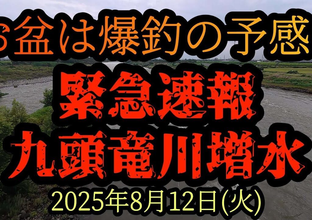 【お盆は爆釣の予感！】九頭竜川増水　2025年8月12日(火)