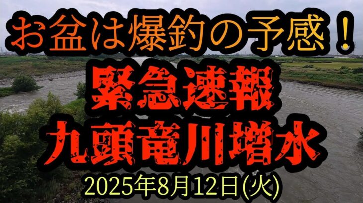 【お盆は爆釣の予感！】九頭竜川増水　2025年8月12日(火)